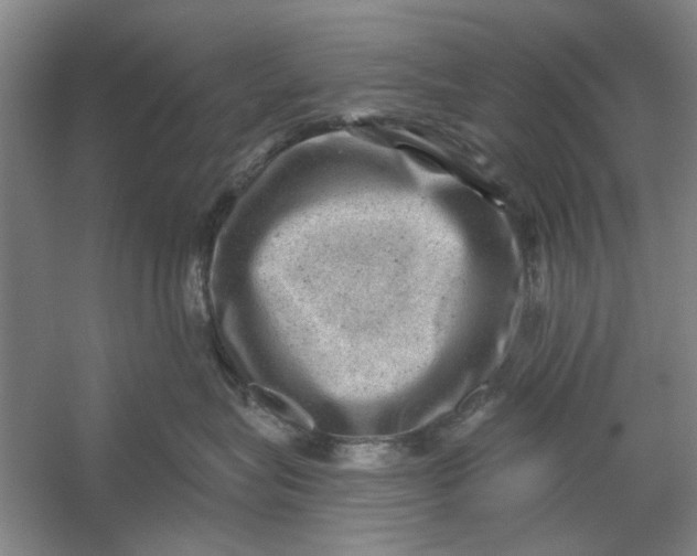 X0000054400575200508192008