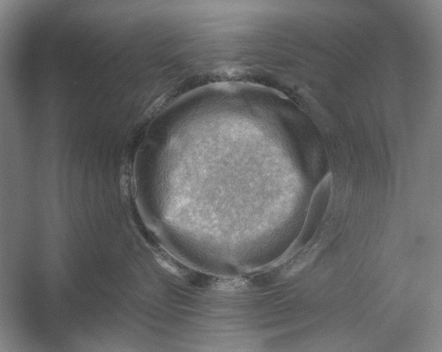 X0000054400576200508192008