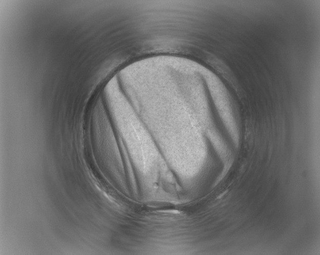 X0000054400578200508192007