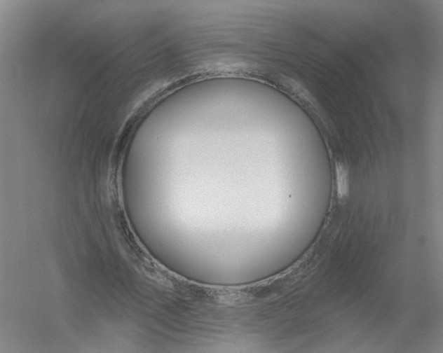 X0000054400579200508192007