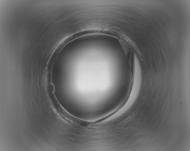 X0000054400580200508192007