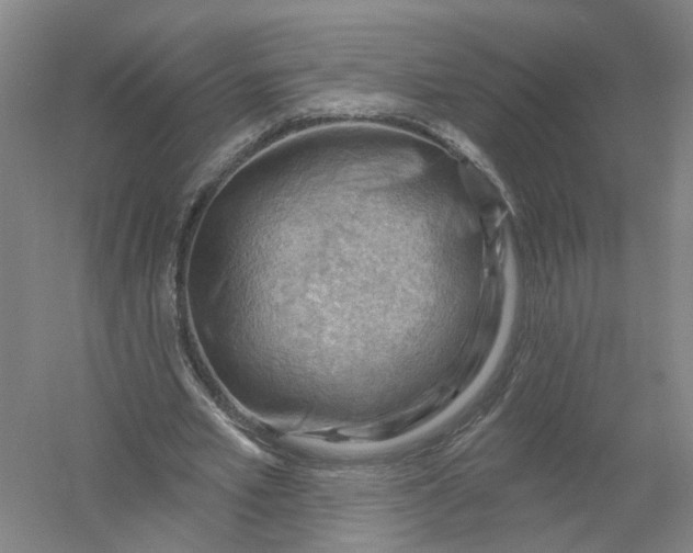 X0000054400581200508192007