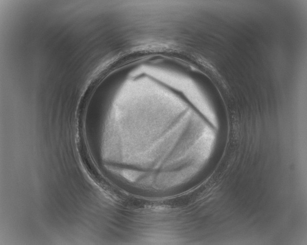 X0000054400582200508192007