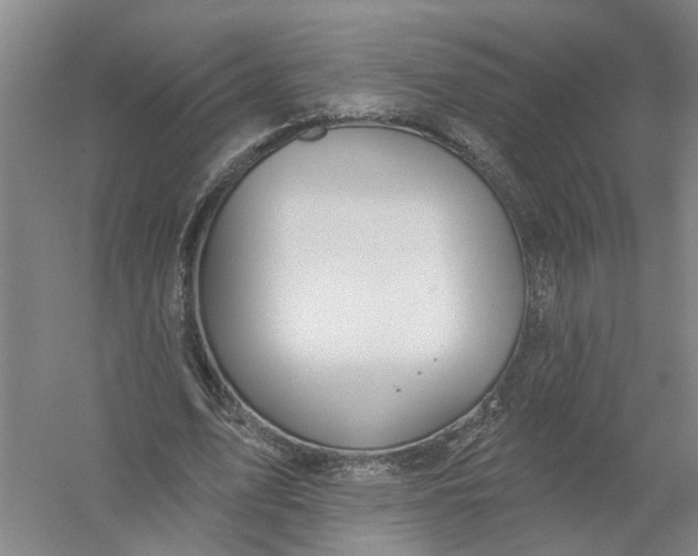 X0000054400583200508192007