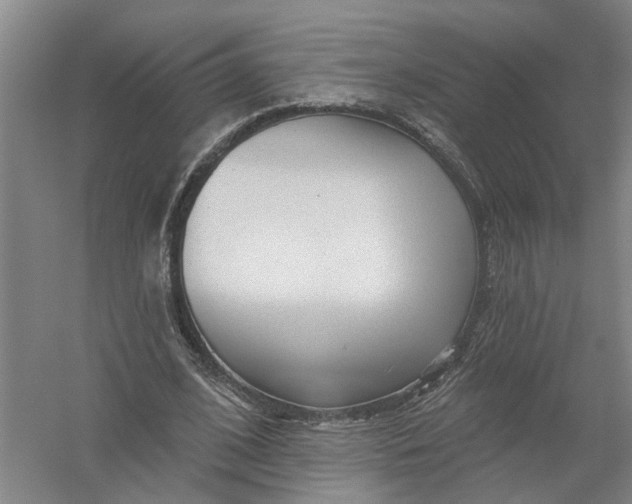 X0000054400584200508192007