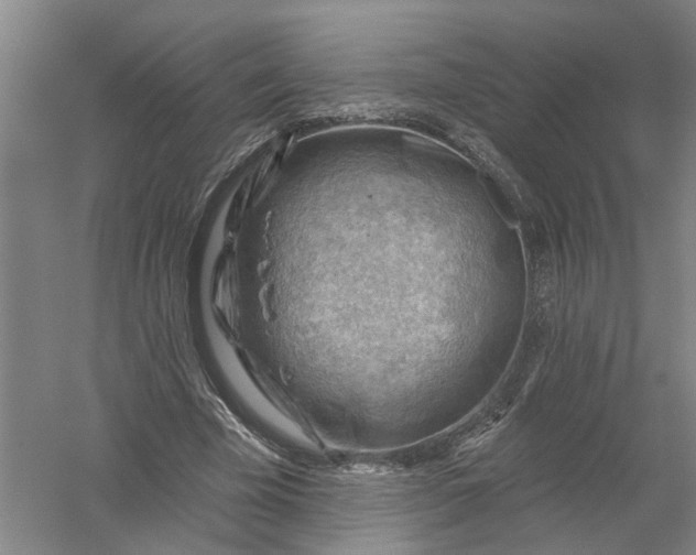 X0000054400585200508192007