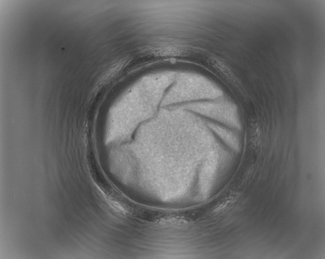 X0000054400586200508192007