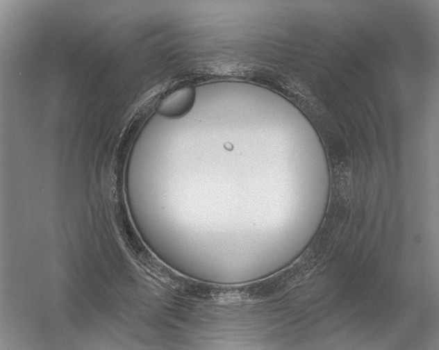 X0000054400587200508192007