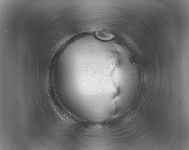 X0000054400588200508192007