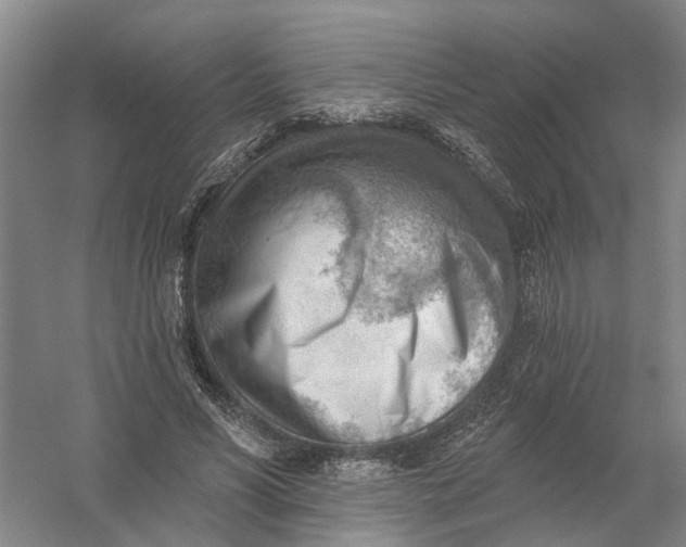 X0000054400590200508192007