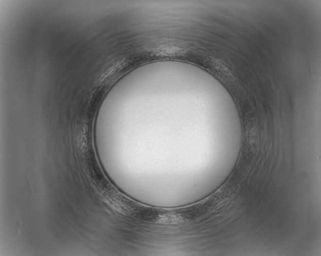 X0000054400591200508192007