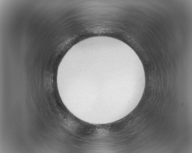 X0000054400592200508192007