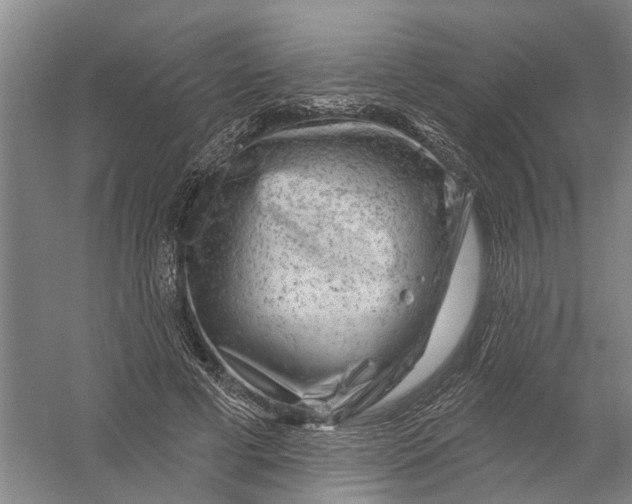 X0000054400593200508192007