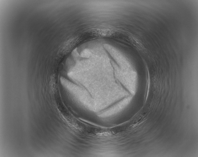 X0000054400594200508192007