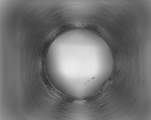 X0000054400595200508192007