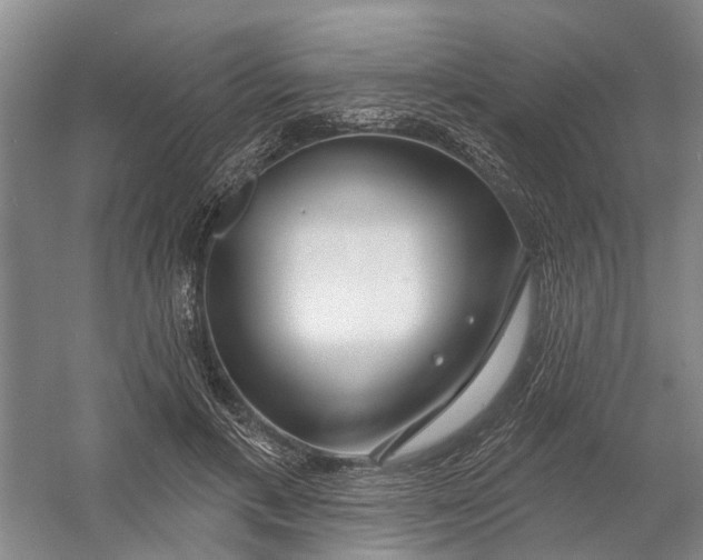 X0000054400597200508192007