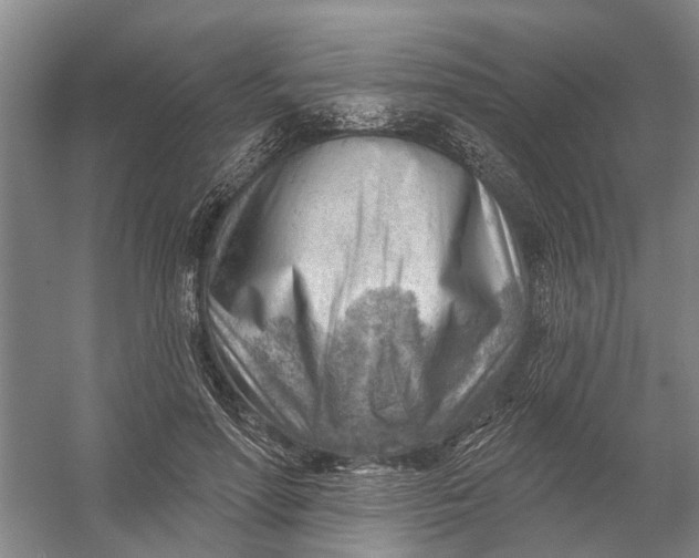 X0000054400598200508192007