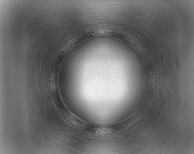 X0000054400599200508192007