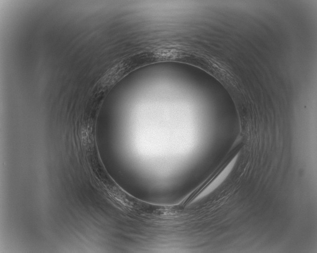 X0000054400601200508192007