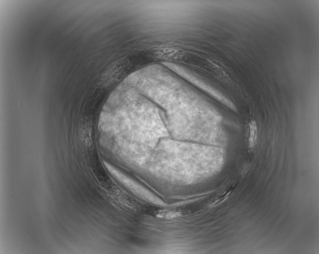 X0000054400602200508192007