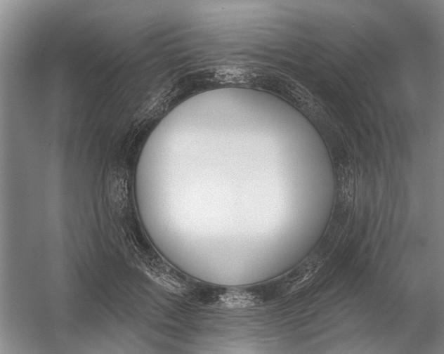 X0000054400603200508192007