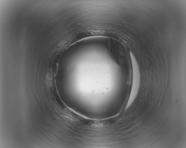 X0000054400604200508192007