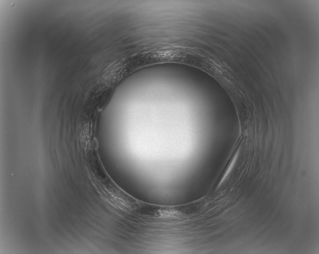 X0000054400605200508192007