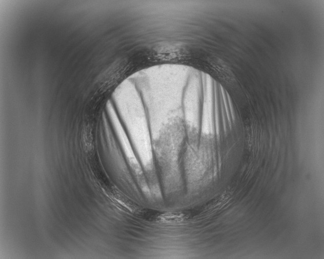 X0000054400606200508192007