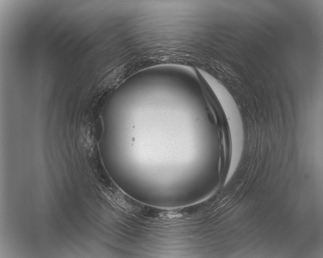 X0000054400607200508192007