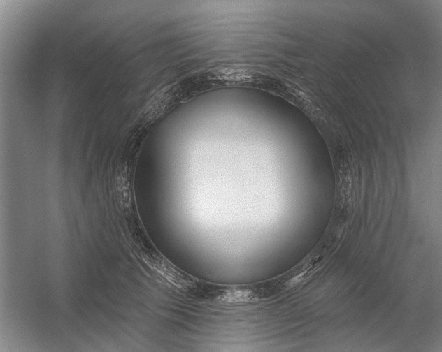 X0000054400609200508192007