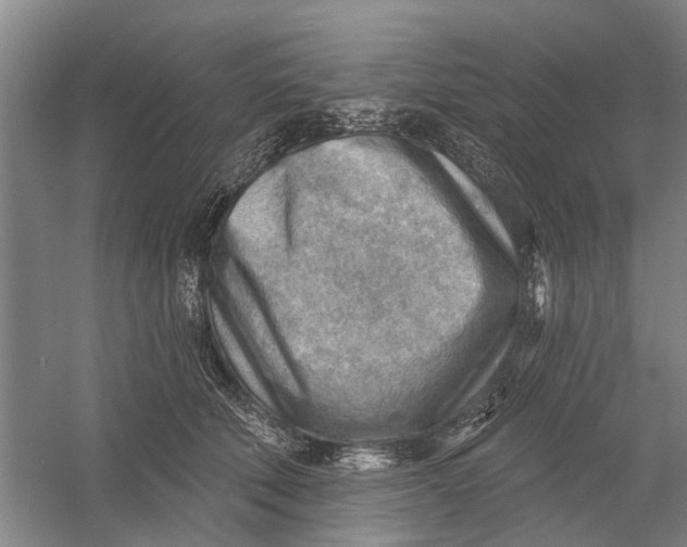 X0000054400610200508192007