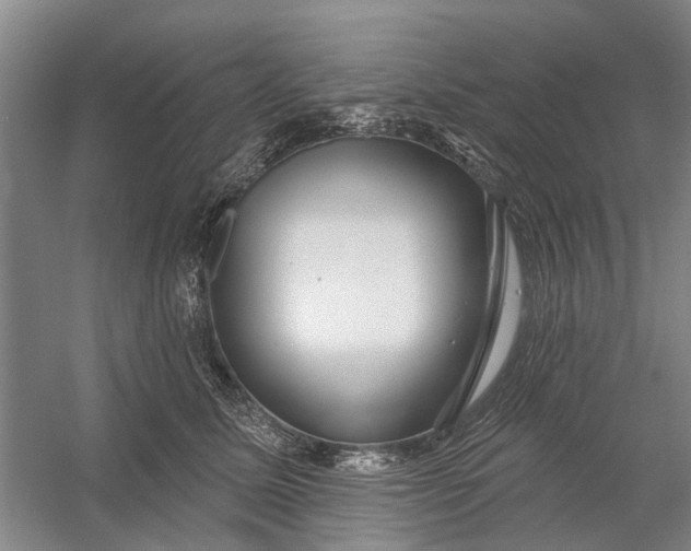 X0000054400611200508192007