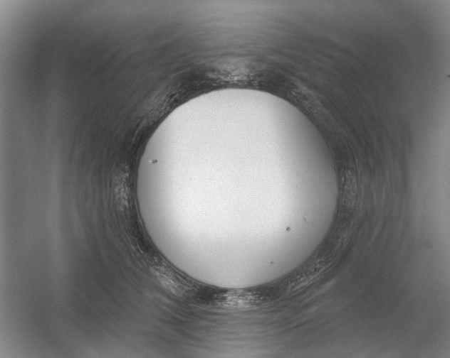 X0000054400612200508192007