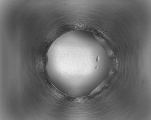 X0000054400613200508192007