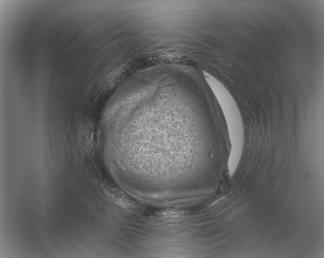 X0000054400615200508192007