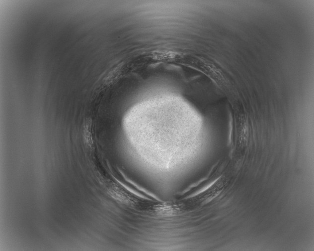 X0000054400616200508192007