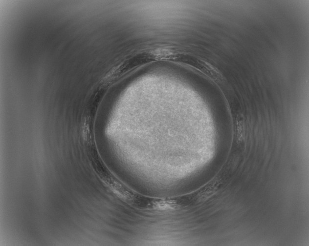 X0000054400618200508192007