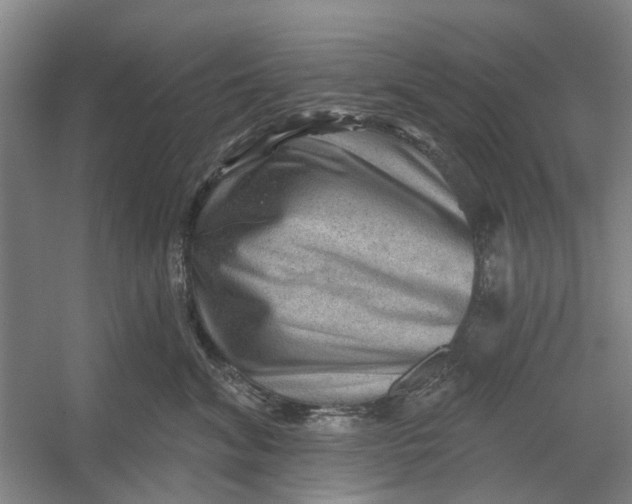 X0000054400620200508192006