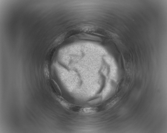 X0000054400622200508192006