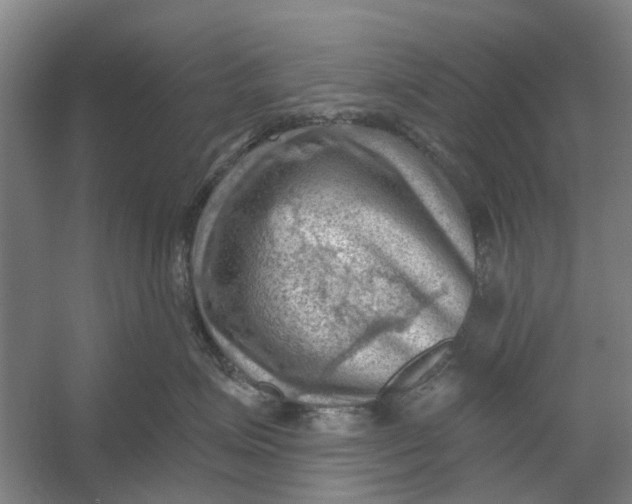 X0000054400623200508192006