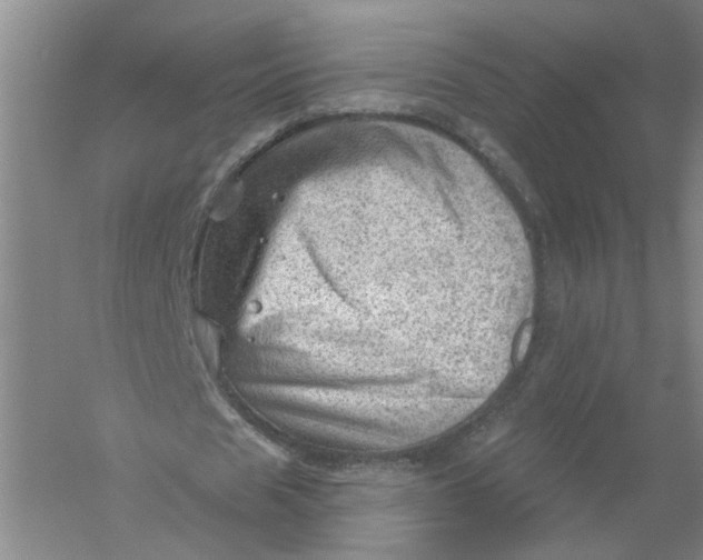 X0000054400625200508192006