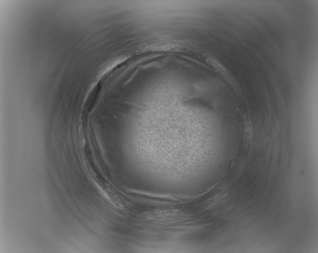 X0000054400626200508192006