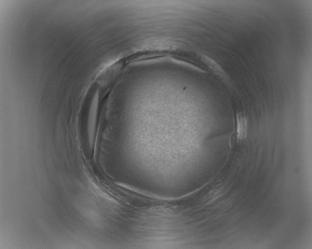 X0000054400627200508192006