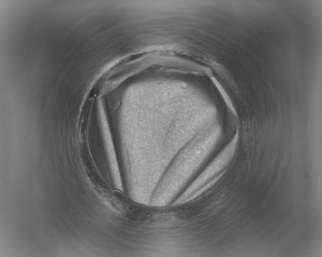 X0000054400628200508192006