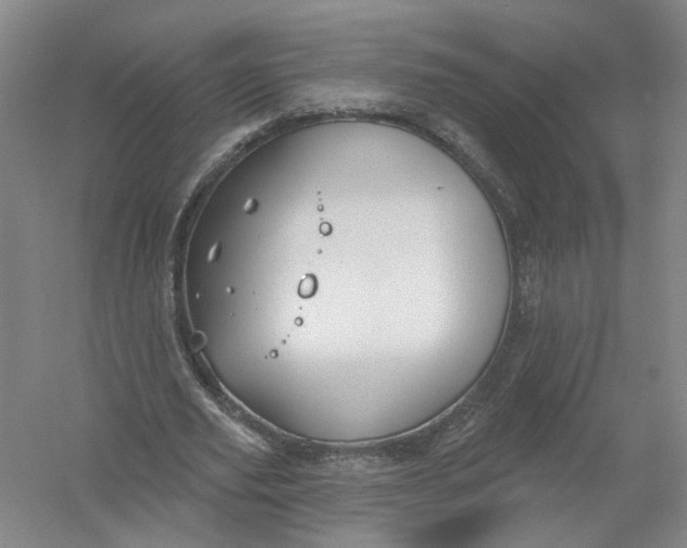 X0000054400629200508192006