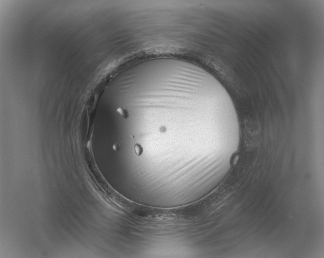 X0000054400631200508192006