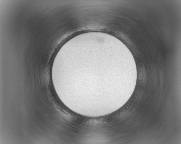 X0000054400632200508192006