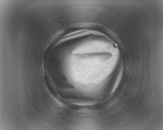 X0000054400633200508192006