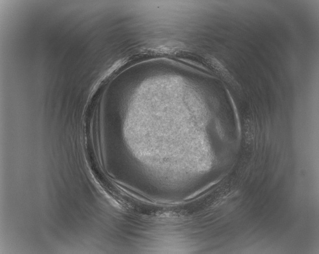 X0000054400634200508192006