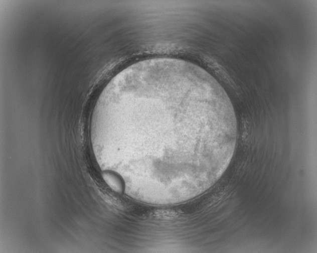 X0000054400636200508192006